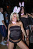 FreeTowne Photo of TiNkErBeL