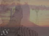 FreeTowne Photo of plainsdrifte