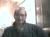 FreeTowne Photo of sparrohawk